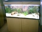 Aquarium 350 liter 4 monate Alt Unterschrank heizung pumpe abdeckung 500 Euro