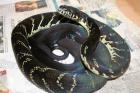 Morelia boeleni viridis bredli Angola Python