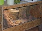 Bartagamenmännchen inkl. Terrarium Beleuchtung und Zubehör abzugeben