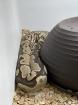 2 Königspythons mit voller Ausstattung