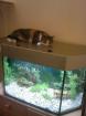Verkaufen unser tolles 6-eckiges Aquarium ca. 120Liter mit viel Zubehör an Sel