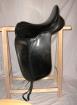 County Competitor Spring Tree 16 5Zoll