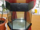 6-Eckiges Aquarium