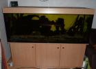Komplettaquarium 570l