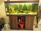 Komplett Aquarium Juwel Rio 240 Liter Dunkelbraun inkl. Außenfilter Fluval