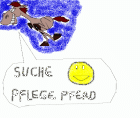 SUCHE PFLEGEPFERD IN VORARLBERG D