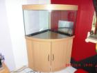 Schönes Trigon-Panorama Aquarium Buche/ - mit kompletten -Fischbesatz