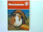 Meerschweinchen Buch