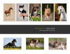 Hunde-Fotos - Aktionstage 2022 in Berlin und Brandenburg