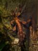 Extatosoma tiaratum / Gespenstschrecken verschiedene Stabschrecken