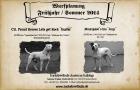 Backstreetbulls American Bulldogs Wurfplanung Frühjahr / Sommer 2022