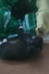 Katzenbaby