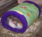 Kuschelsachen Hängematten mit Gestell für Meerschweinchen Kleintiere in der Vorr