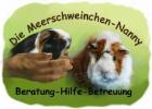Die Meerschweinchen-Nanny Meerschweinchen-Hilfe Notstation Urlaubspflege Zub