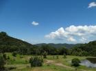 Brasilien Fazenda 310 ha mit Wald Eukalyptus Bienenstöcke - Honigproduktion