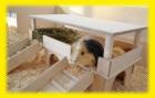 Luxus Traumvilla für Meerschweinchen Kleintiere aus Schreinerhand