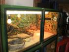 Terrarien Terrarien