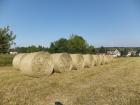 Heu Heurundballen Futter Pferd Kaninchen Schaf Ziege Esel Rind