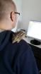Streifi Molly sucht ein neues Zuhause
