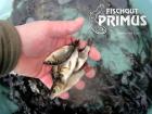 Besatzfische - Schuppenkarpfen-Paket 11-15 cm