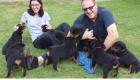 Tolle Rottweiler Welpen Kennenlernen erwünscht