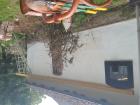 2 Beos gesucht