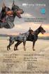 Top qualität dobermann welpen