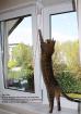 Kippfensterschutz für Katzen ohne das Fenster zu beschädigen