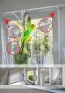 Kippfensterschutz für Vögel ohne das Fenster zu beschädigen