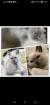 RAGDOLLBABYS SUCHEN ab sofort ein neues Zuhause