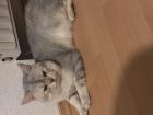 Bkh Deckkater