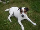 . Sohn gesucht