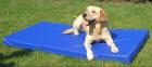Antiallergische Hundematte beugt Rheuma vor