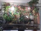 Terrarium 120x0 80x0 60 Günstig zu Verkaufen