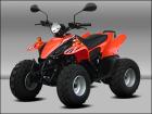 Quad-ATV Dolphin 50cc mit Zulassung das Schärfste was man ab 16 Jahren auf vier
