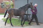 STAKKATO x FOR PLEASURE x GRAF TOP GENIALER SPRING-NACHWUCHS CRACK