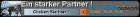 Network mit Starthilfe