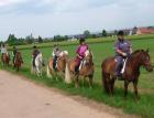 Familienreiturlaub Für jung und alt mit dem Sportpartner Pferd