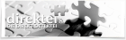 Direktei - DIE DIREKT DETEKTEI - Observation Recherche.