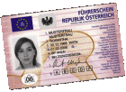 Brauch einen Führerschein der kalssen A B C E für Östereich max 1200Euro