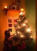 Weihnachts-Zulage-Weihnachtsgeld für alle- fair günstig