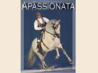 Dressurkurs mit Manolo Oliva von Apassionata in Hacienda El Boyal