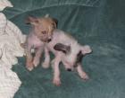Ricardo und Betty