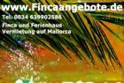 Mallorca Fincavermietung Ferienhäuser Unterkünfte