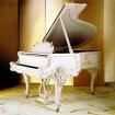 Suche KLAVIER o. FLÜGEL
