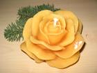 Bienenwachsrose 008