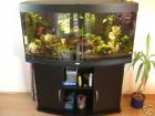 Juwel Vision 260 2jahre alt komplett 154 Liter Becken Set