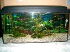 Aquarium zubehör ab zu geben