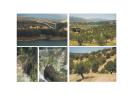 EILVERKAUF Gelände für Campingplatz in Südspanien Andalusien