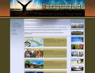 Grafikdesign Webdesign Website Homepage Print Programmierung